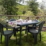 Casa Di Cinti *