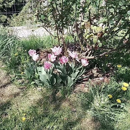 Casa Di Cinti Apartment *