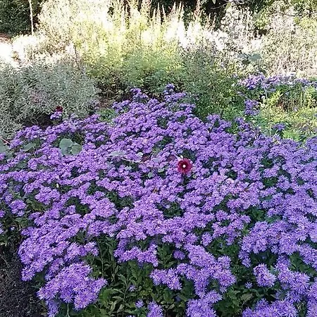 Casa Di Cinti Apartmán