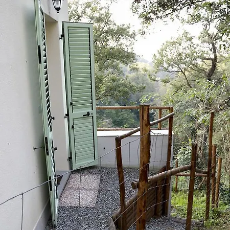 Casa Di Cinti *