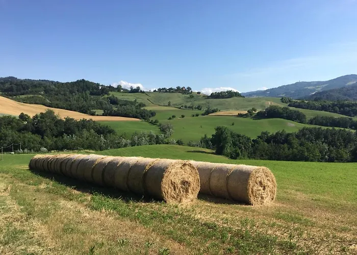 Casa Di Cinti Loiano