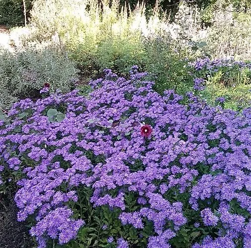 Casa Di Cinti Lägenhet