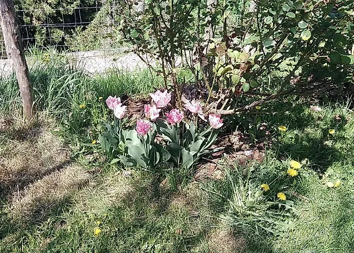 Casa Di Cinti Lägenhet *